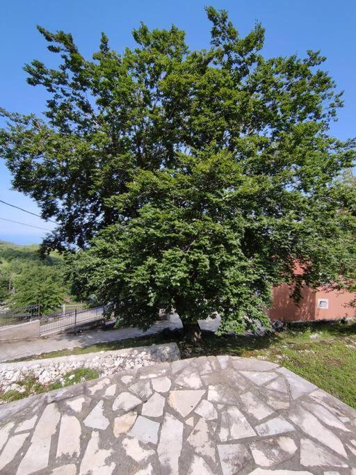 Nature Escape Montenegro Kotor Exteriér fotografie