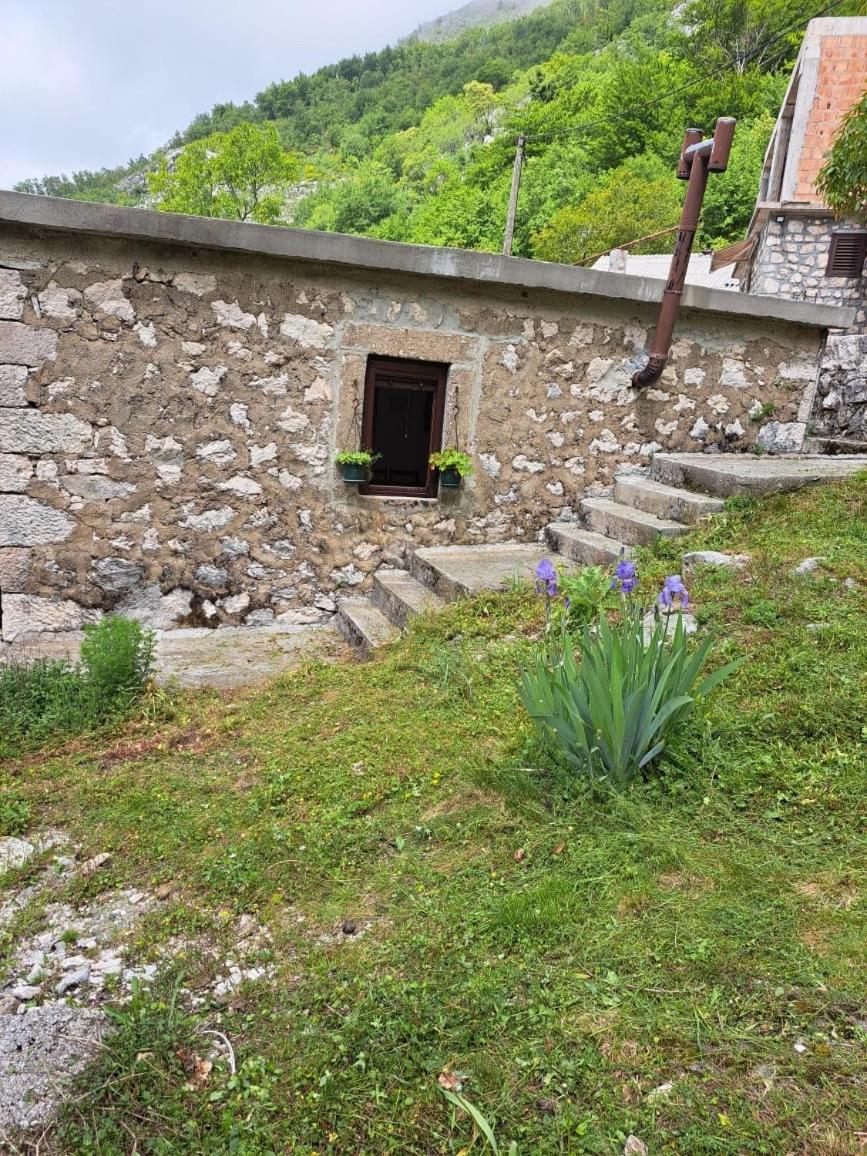 Nature Escape Montenegro Kotor Exteriér fotografie
