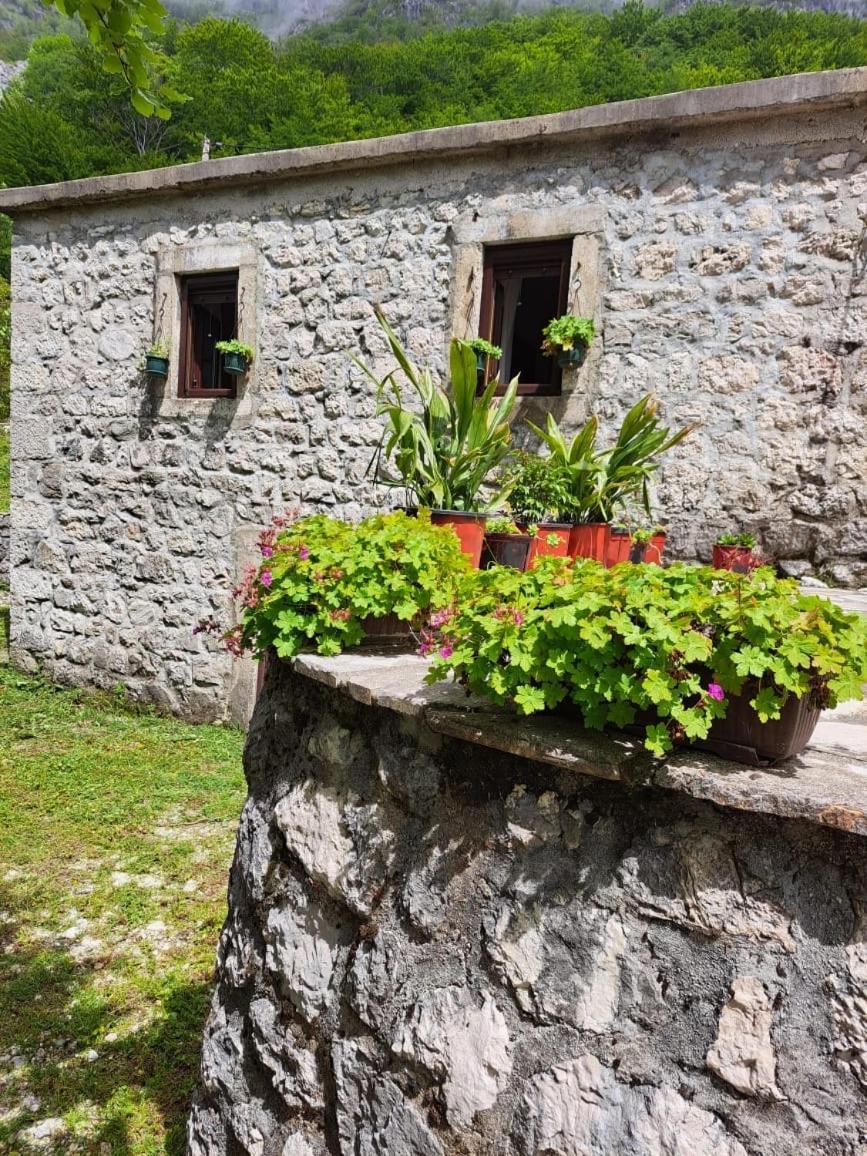 Nature Escape Montenegro Kotor Exteriér fotografie