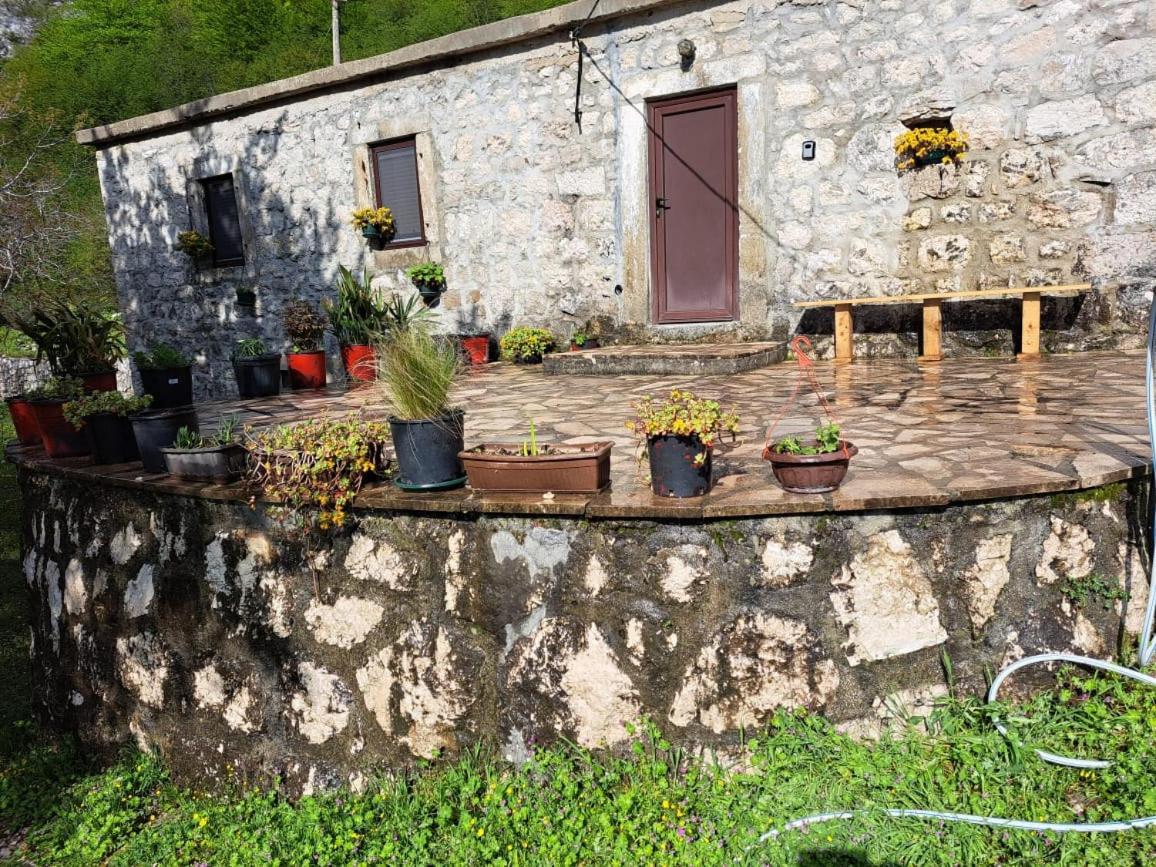 Nature Escape Montenegro Kotor Exteriér fotografie