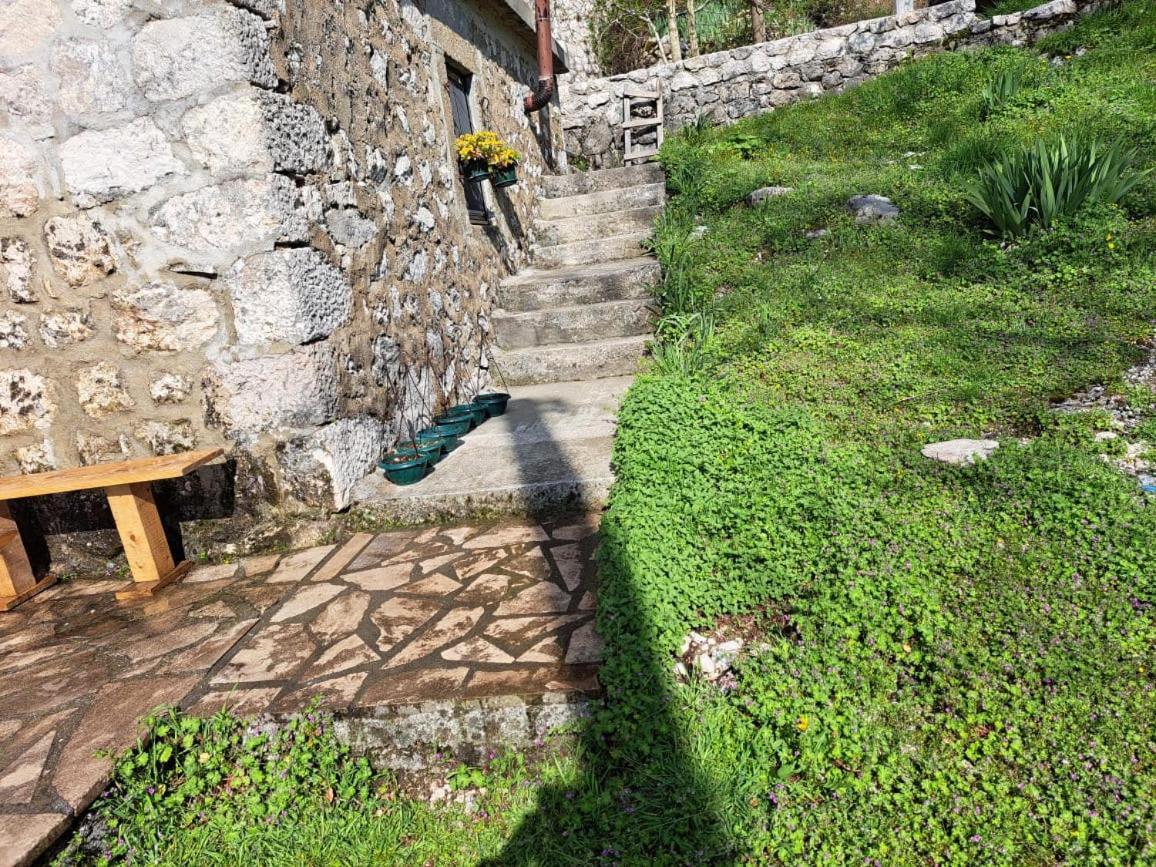 Nature Escape Montenegro Kotor Exteriér fotografie
