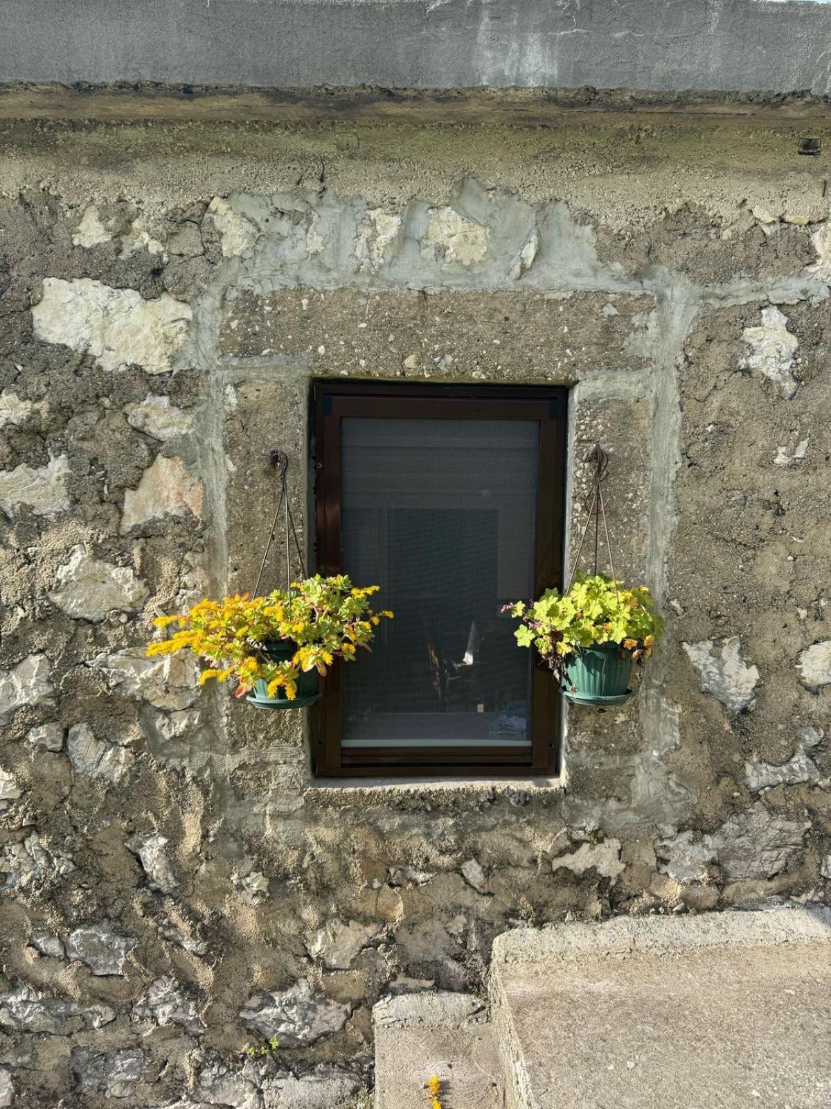 Nature Escape Montenegro Kotor Exteriér fotografie