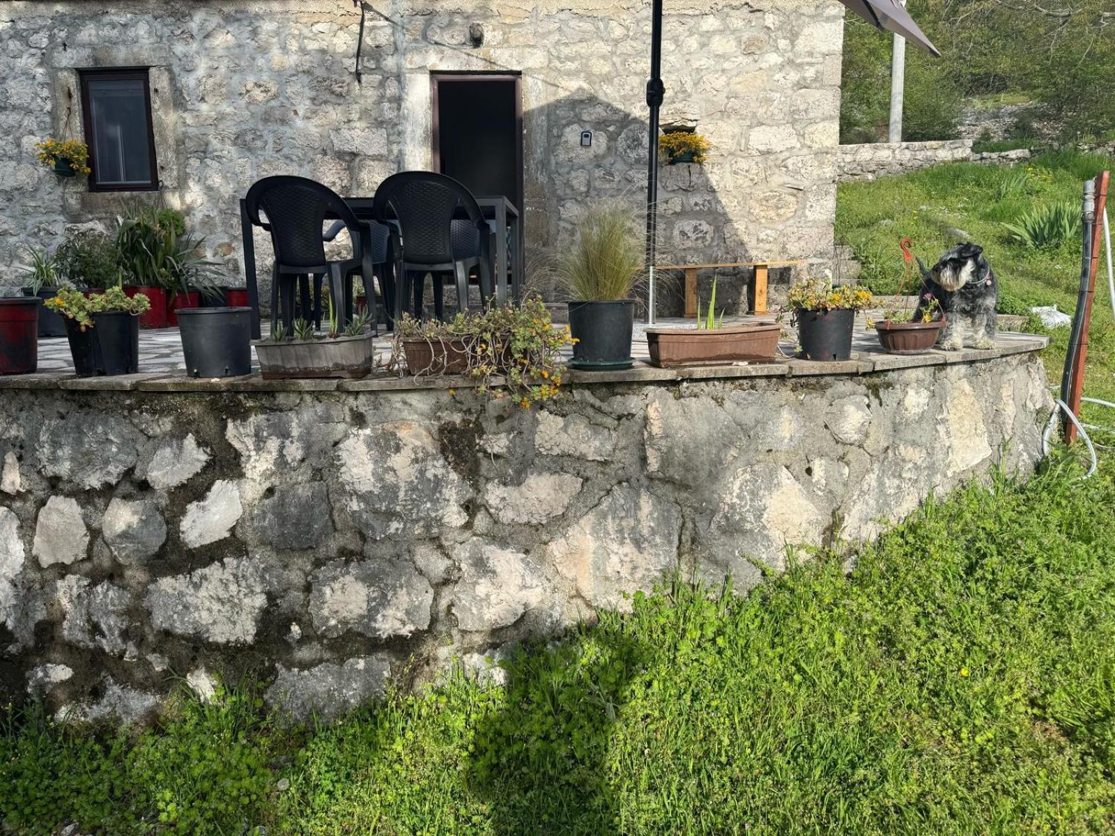 Nature Escape Montenegro Kotor Exteriér fotografie