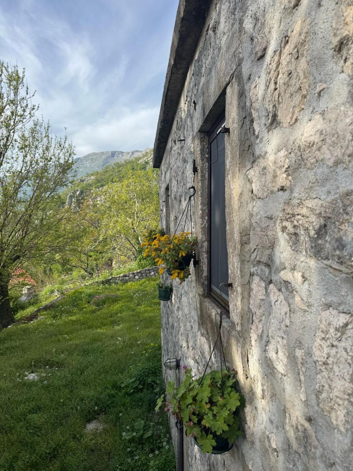 Nature Escape Montenegro Kotor Exteriér fotografie
