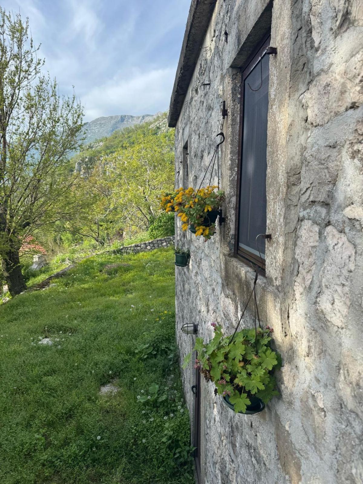 Nature Escape Montenegro Kotor Exteriér fotografie